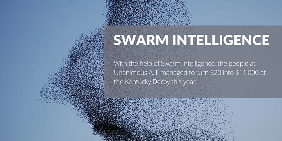 Swarm-Intelligence-Kentucky-Derby