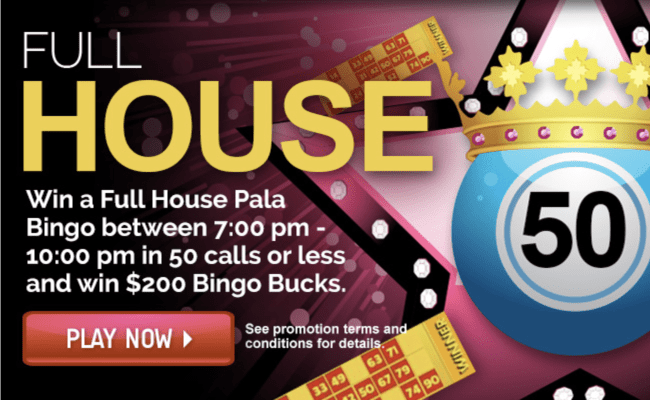 does pala casino have bingo