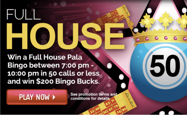 Pala Bingo USA for windows download