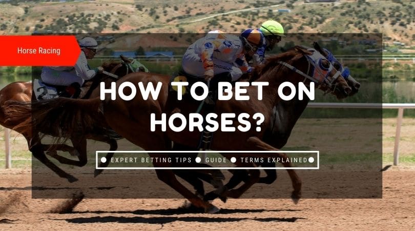 Ll How To Bet On Horses Racing | Tips For Handicappers + Glossary